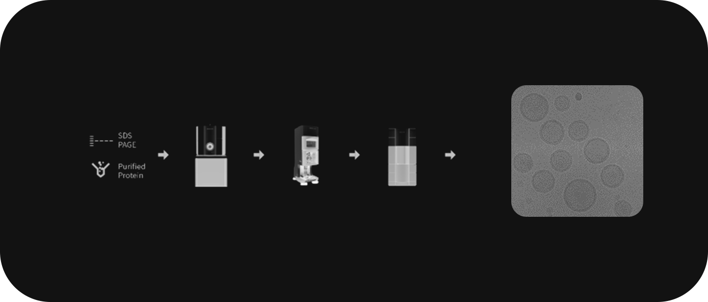 Nanoparticle Characterization Workflow